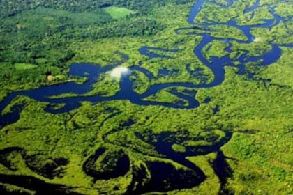 size_960_16_9_amazonia-vista-aerea-jpg1