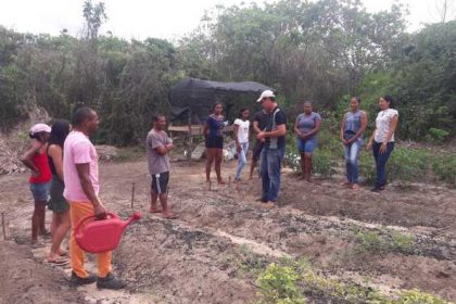 biblioagricultura_tomé-açú-1