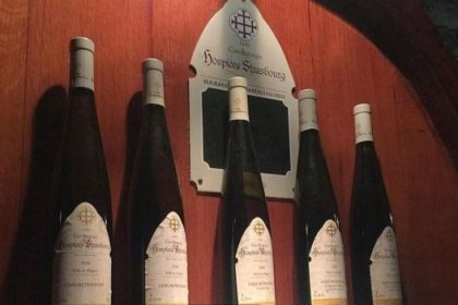 vinhos